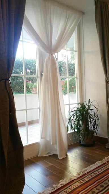 Cristina'S Flat Riccione Apartment Exterior foto